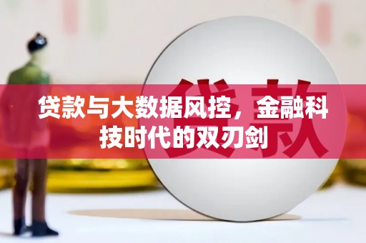 瑞芳贷款与大数据风控，金融科技时代的双刃剑