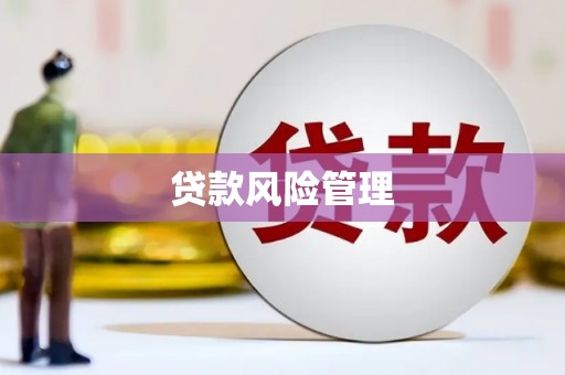 林周贷款风险管理
