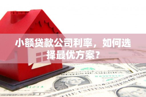 梧州小额贷款公司利率，如何选择最优方案？