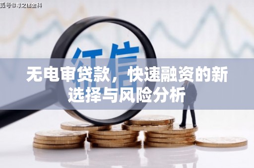 沙坡头无电审贷款，快速融资的新选择与风险分析