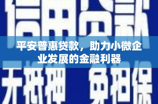 成武平安普惠贷款，助力小微企业发展的金融利器