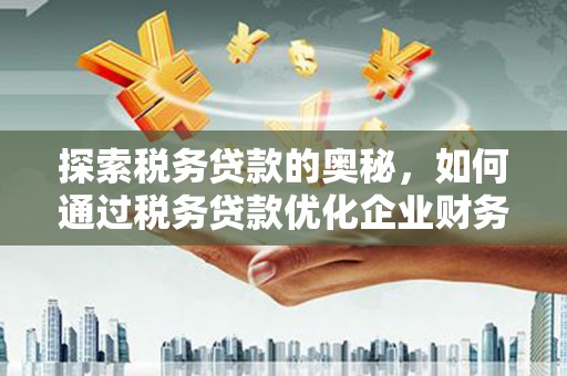 鹿城探索税务贷款的奥秘，如何通过税务贷款优化企业财务