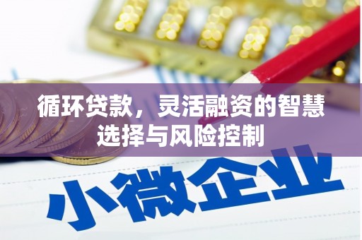 三门峡循环贷款，灵活融资的智慧选择与风险控制