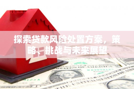 汉南探索贷款风险处置方案，策略、挑战与未来展望