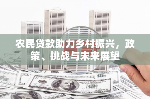 树林农民贷款助力乡村振兴，政策、挑战与未来展望