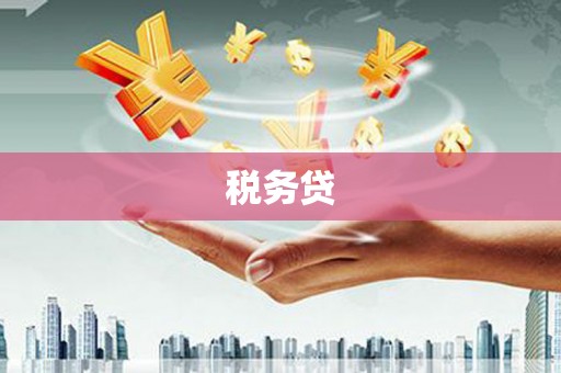 留坝税务贷
