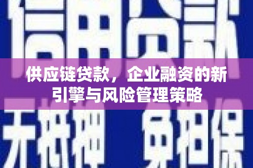 扶绥供应链贷款，企业融资的新引擎与风险管理策略