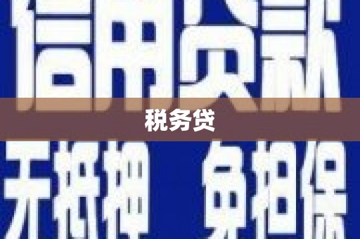 杉林税务贷