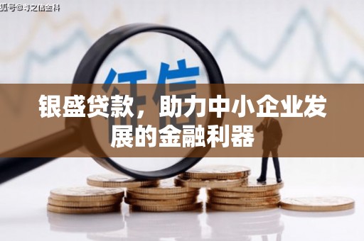 大里银盛贷款，助力中小企业发展的金融利器