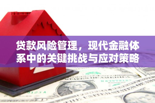 万全贷款风险管理，现代金融体系中的关键挑战与应对策略