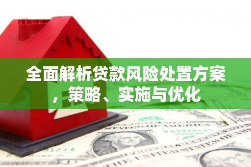 竹南全面解析贷款风险处置方案，策略、实施与优化