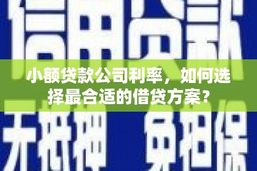 江阳小额贷款公司利率，如何选择最合适的借贷方案？