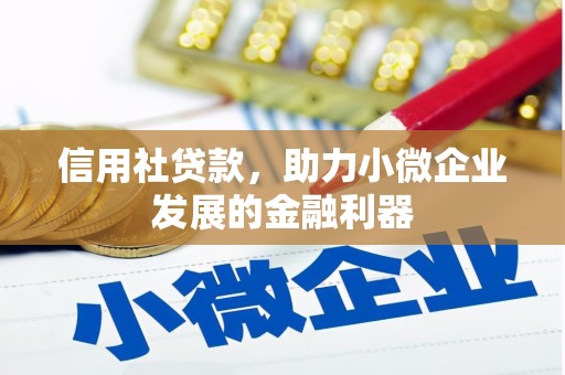 沅陵信用社贷款，助力小微企业发展的金融利器
