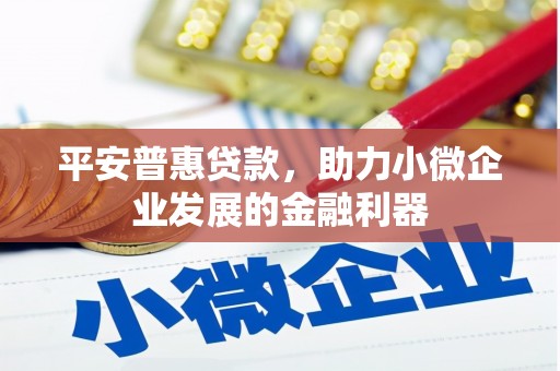 武平平安普惠贷款，助力小微企业发展的金融利器