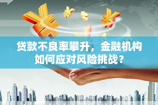 安泽贷款不良率攀升，金融机构如何应对风险挑战？