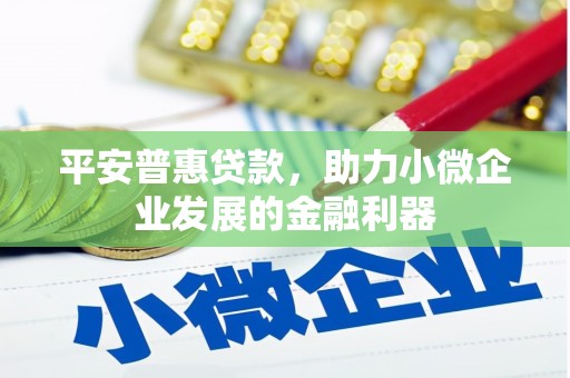中卫平安普惠贷款，助力小微企业发展的金融利器