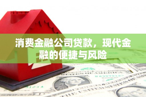 扎鲁特旗消费金融公司贷款，现代金融的便捷与风险