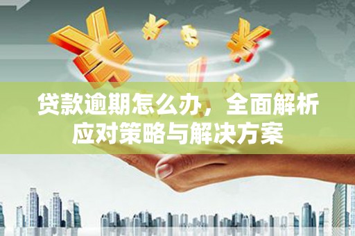 稷山贷款逾期怎么办，全面解析应对策略与解决方案