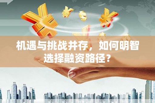 楠西机遇与挑战并存，如何明智选择融资路径？