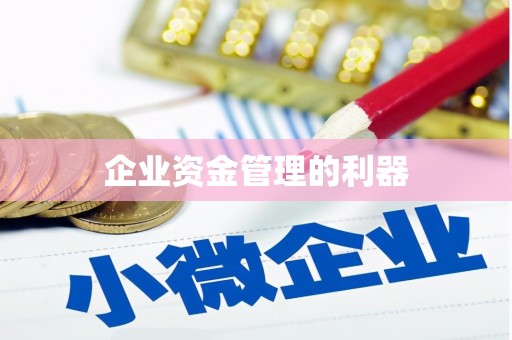 麦积企业资金管理的利器