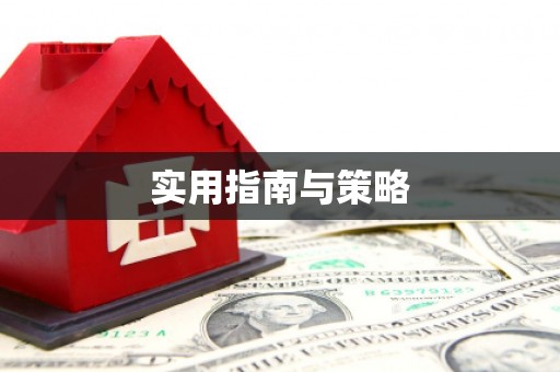 吴起实用指南与策略