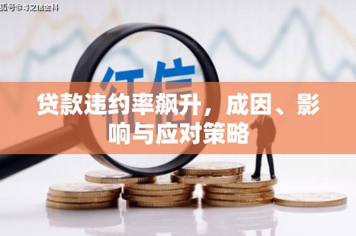 班玛贷款违约率飙升，成因、影响与应对策略